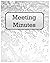 Meeting Minutes by Carly Davis
