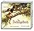 Das Dschungelbuch (4 CD): G...