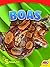 Boas (The World of Snakes)