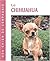 Le chihuahua