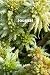 Blank Moss Garden Journal: ...