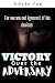 Victory over the adversary  by Chris Joe