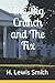 The Big Crunch and The Fix