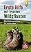 Erste Hilfe mit frischen Wi...