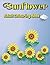 Sunflower Adult Colouring B...