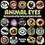 Animal Eyes: How Creatures ...