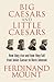 Big Caesars and Little Caesars: How They Rise and How They Fall - From Julius Caesar to Boris Johnson