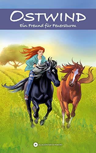 OSTWIND - Ein Freund für Feuersturm (Hardcover)