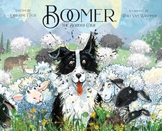 Boomer the Border Collie