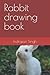 Rabbit drawing book