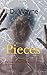 Pieces: A Novella