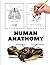 Human anathomy: Write what ...