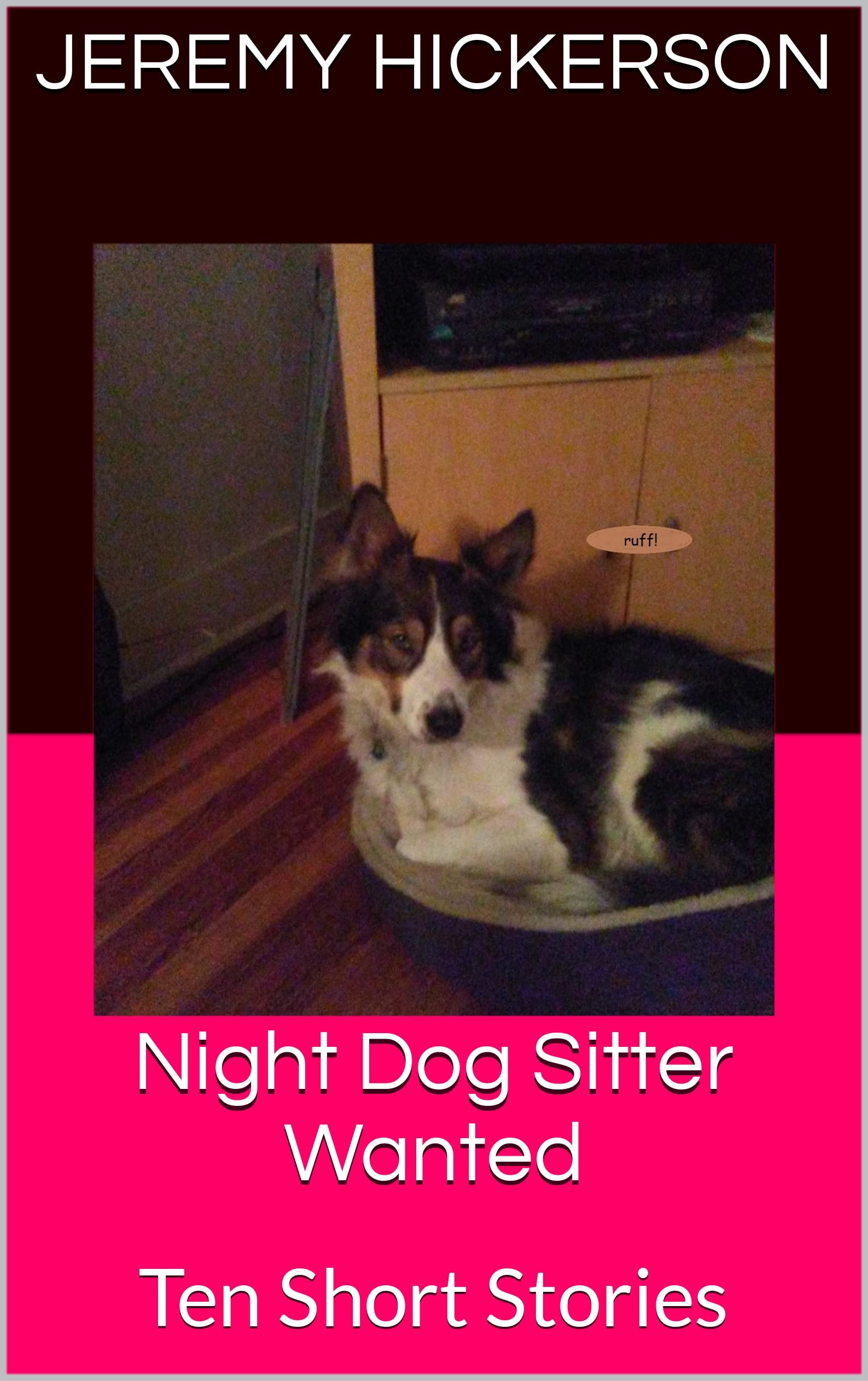 Night Dog Sitter Wanted: Ten Short Stories (Kindle Edition)