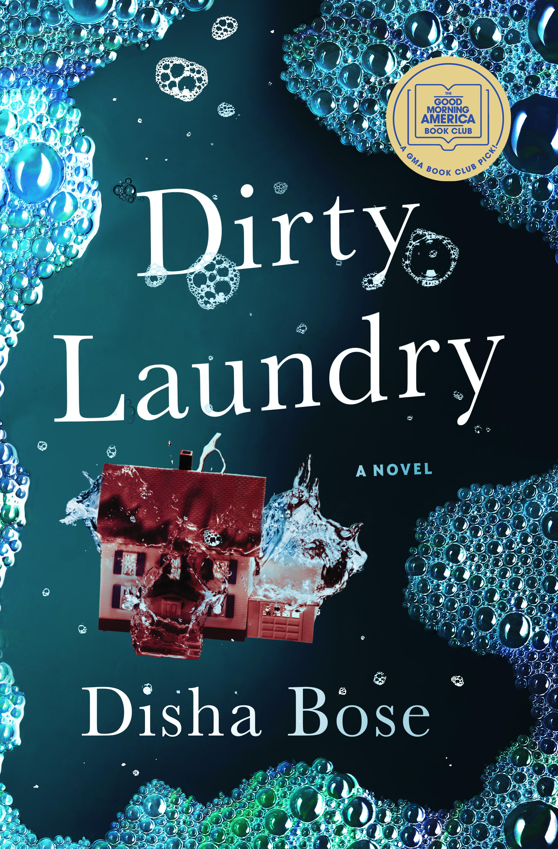 Dirty Laundry (Hardcover)