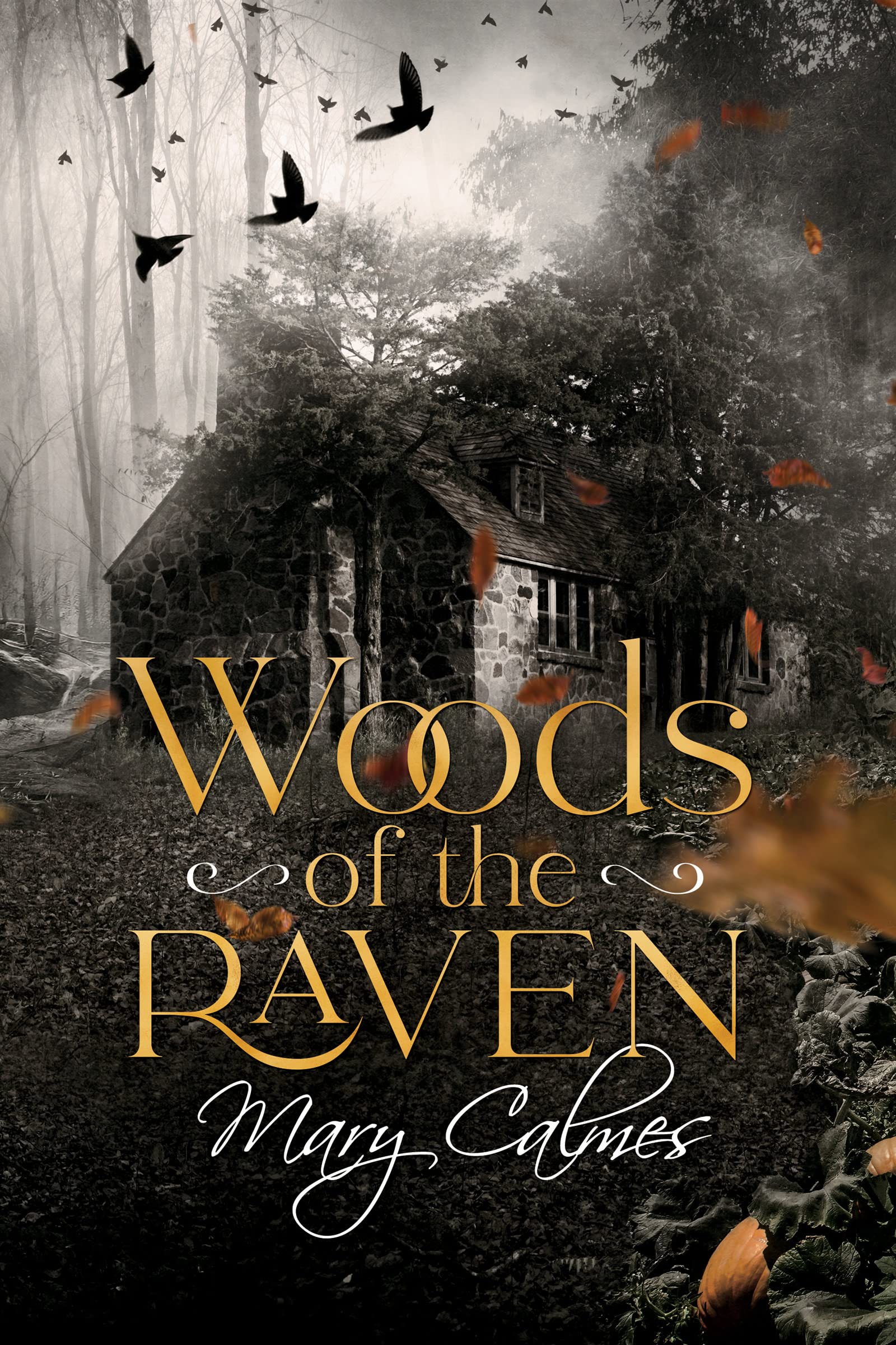 Woods of the Raven (Raven of the Woods #1)