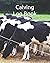 Calving Log Book: Beef Calv...