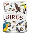 Animals - Birds :...