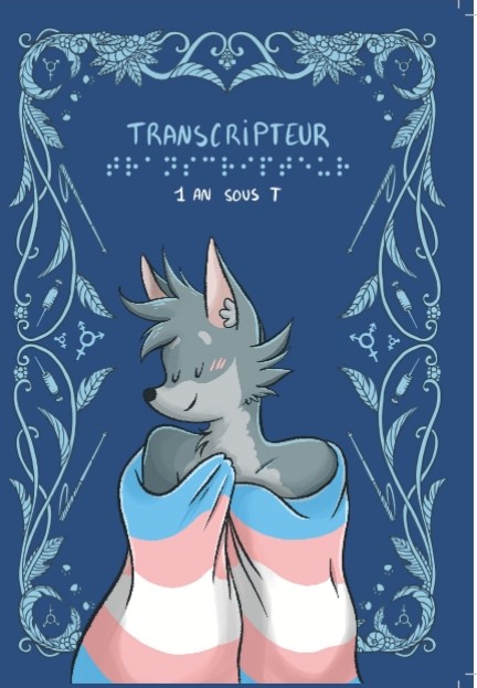 Transcripteur, 1 an sous T (Paperback)