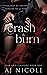 Crash & Burn (Pain & Pleasure Book 1)