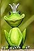 A Frog Prince Journal, Gree...