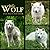 White Wolf Calendar 2022: W...