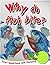 Deadly Creatures: Why Do Fish Bite? (First Questions And Answers)