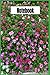 Floral Composition Notebook...