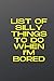 list of silly things to do ...