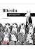 Bitcoin. Ilustrowany przewodnik