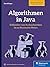 Algorithmen in Java: 32 Klassiker vom Rucksackproblem bis zu Neuronalen Netzen (German Edition)