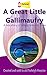 A Great Little Gallimaufry:...