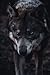 The Hound of the Baskervilles: Arthur Conan Doyle