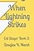 When Lightning Strikes: Cat Slayer Book 3