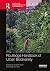 Routledge Handbook of Urban...