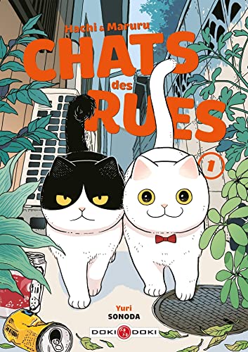 Hachi & Maruru - Chats des rues (Chats des Rues, #1)