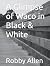 A Glimpse of Waco in Black ...