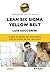 Lean Six Sigma Yellow Belt....