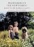 Wanderers in the New Forest