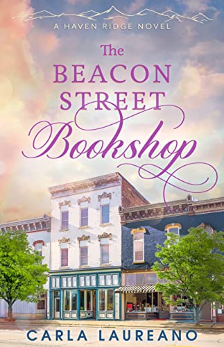 The Beacon Street Bookshop  (Haven Ridge #2)