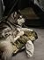The Magnificent Alaskan Malamute by Gary Rodriguez