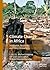 Climate Change in Africa by Michael Addaney