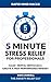 5-Minute Stress Relief For Professionals by Dan Candell