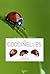 les coccinelles