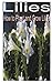 Lilies: How to Plant and Gr...