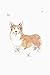 Corgi Journal
