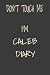 don't touch me i'm caleb diary