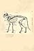Cat Bones Journal: But You Should Like ALL Parts of Cats, Not Just the Bones (Journals With Cool Old Drawings on the Cover)
