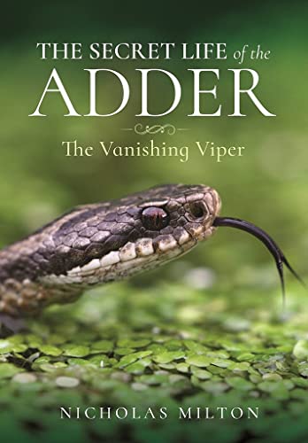 The Secret Life of the Adder: The Vanishing Viper (Hardcover)