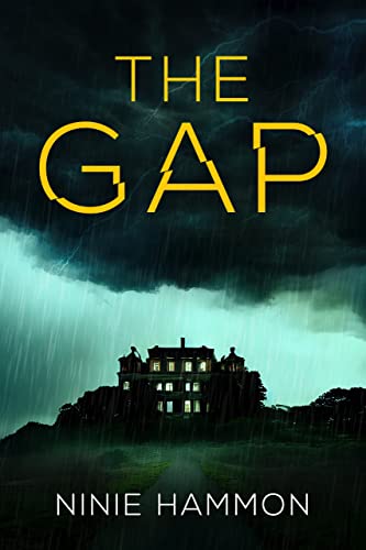 The Gap (Kindle Edition)