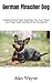 German Pinscher Dog: Comple...